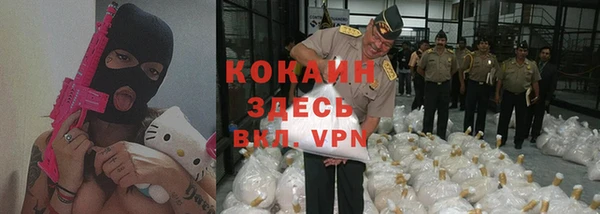 дурь Алексин