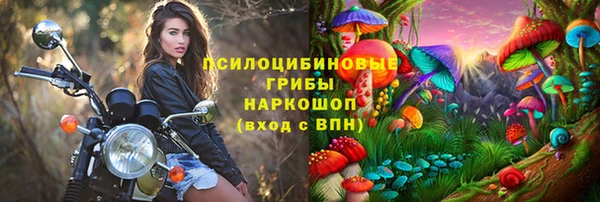 дурь Алексин
