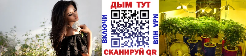 Бошки марихуана план Нижний Новгород